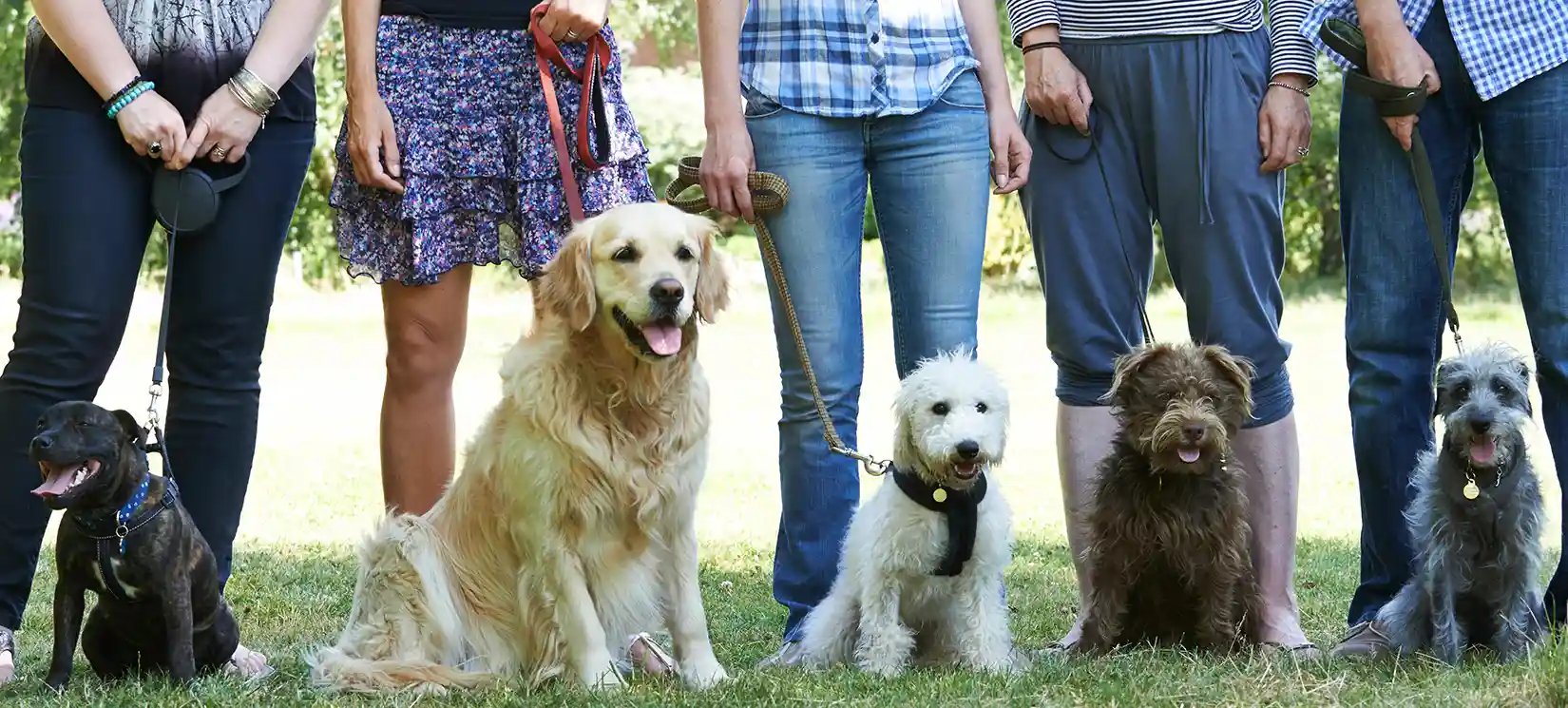 Hammock Oaks Reserve Master Planned Community Amenity Center with Two Dog Parks Lady Lake FL